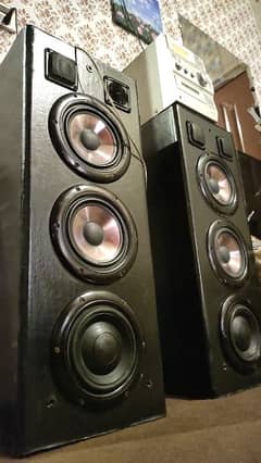 Heavy Bass Speaker Pair, Clean Bass and Perfect Sound Woofer Pair