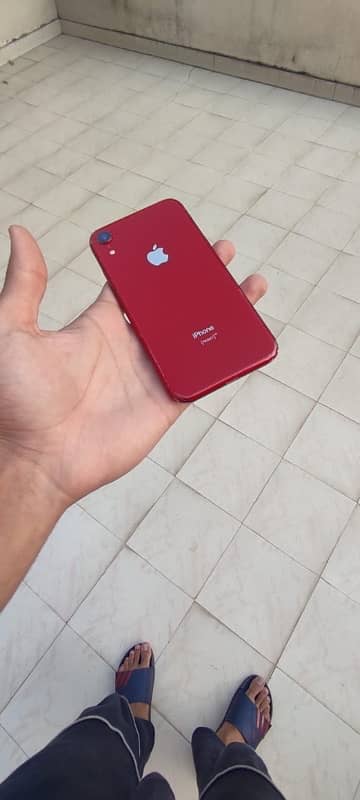 iphone xr 128gb nonpta waterpack 4