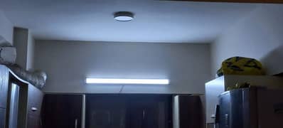 led Tube Lights