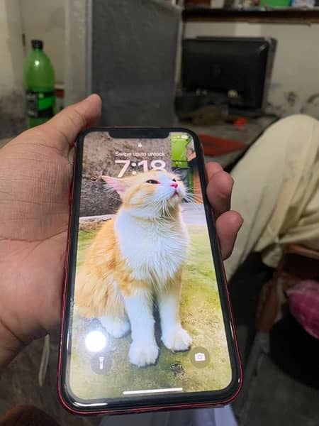 Iphone 11 Non pta 6