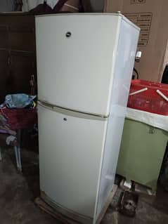 PEL Fridge(03033042261)