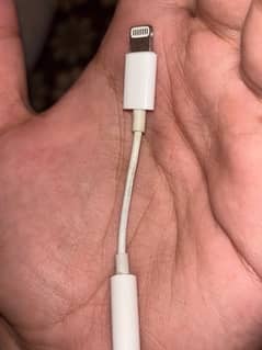 apple converter original