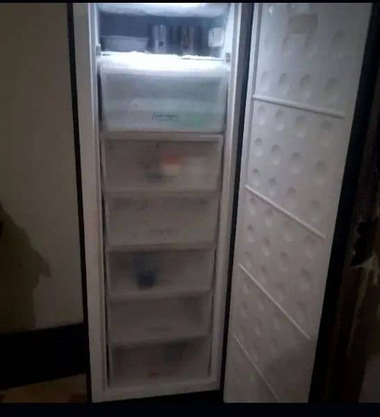 pel vertical freezer 1