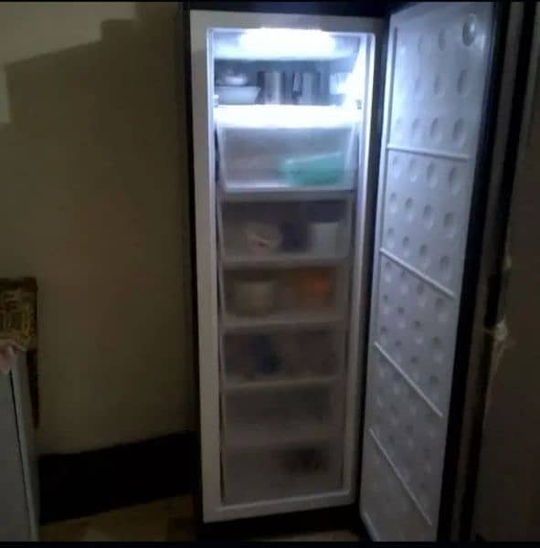 pel vertical freezer 3