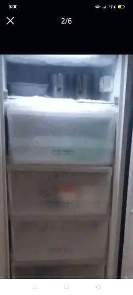 pel vertical freezer 4