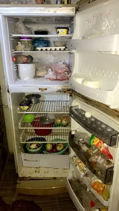 fridge