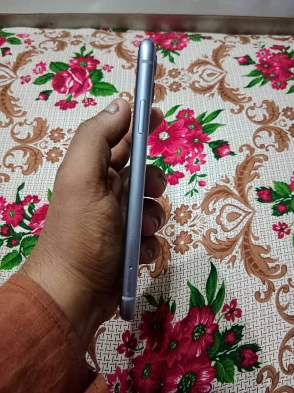 iPhone 11 New mobile ha 6