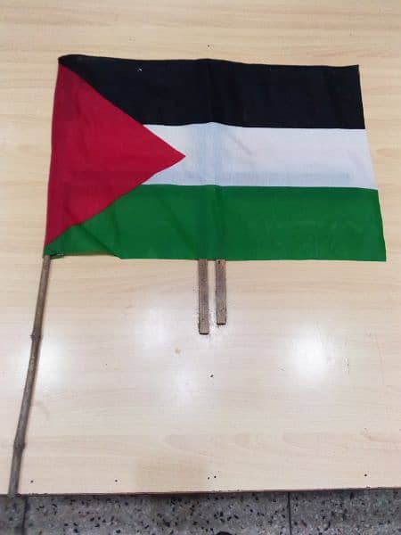 palestine Flag 1