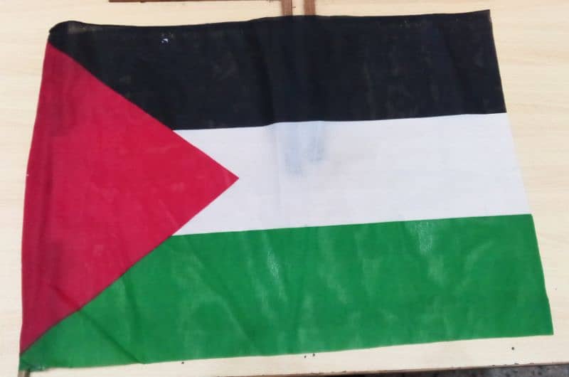 palestine Flag 2