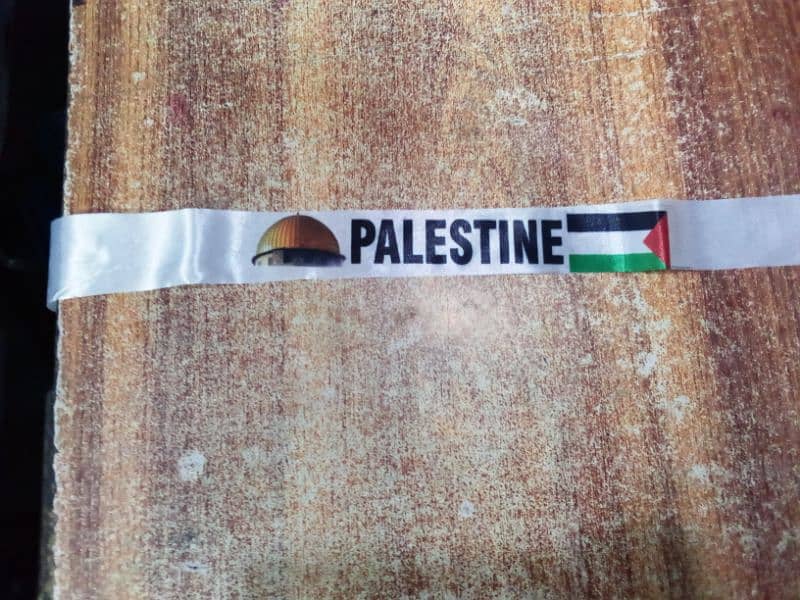 palestine Flag 3