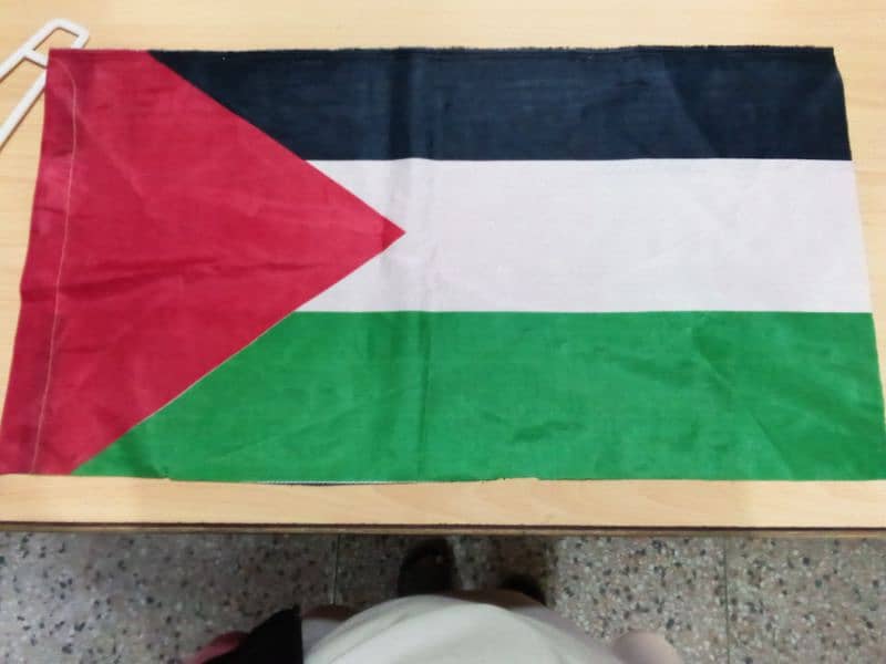 palestine Flag 4