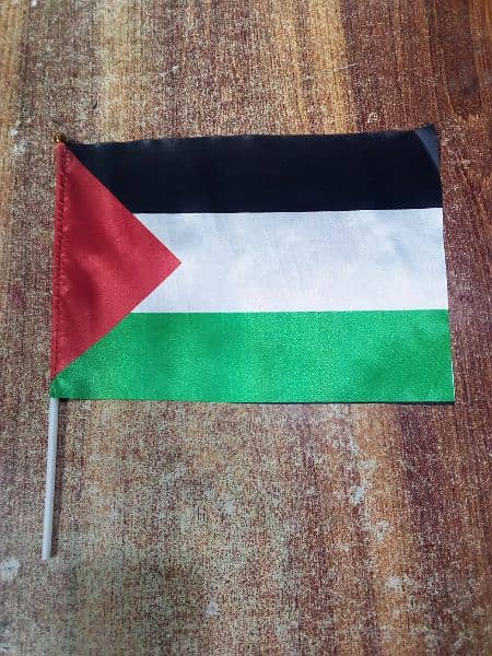 palestine Flag 6