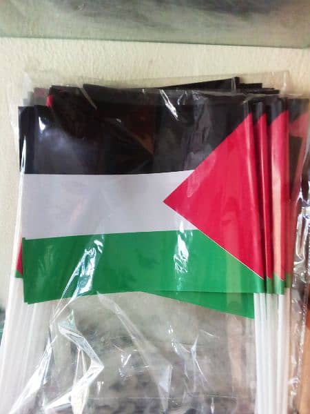 palestine Flag 7