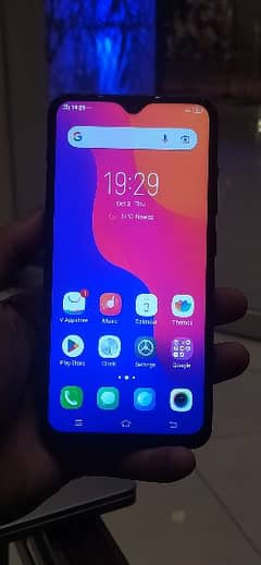 vivo