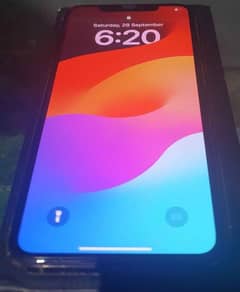 iPhone 11 Pro 256 GB