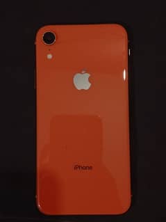 iphone XR 128 GB 10BY10 Condition Best quality