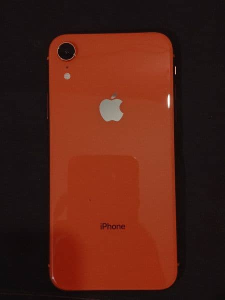 iphone XR 128 GB 10BY10 Condition Best quality 0