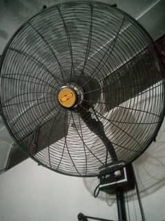 super aisa fan