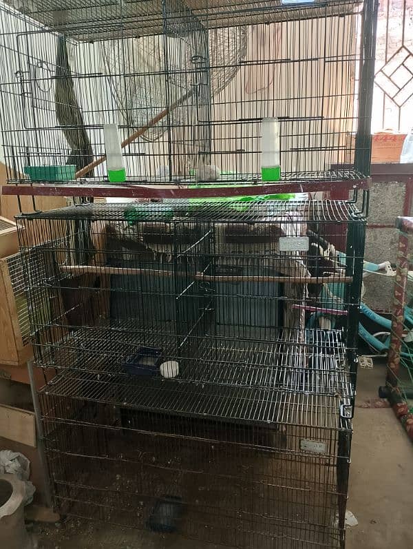 Folding Master cages 1