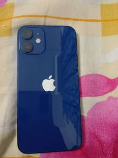 iphone 12 mini