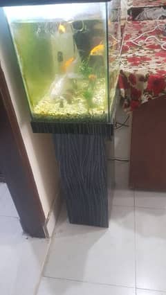 aquarium for sale neat and clean with big filter