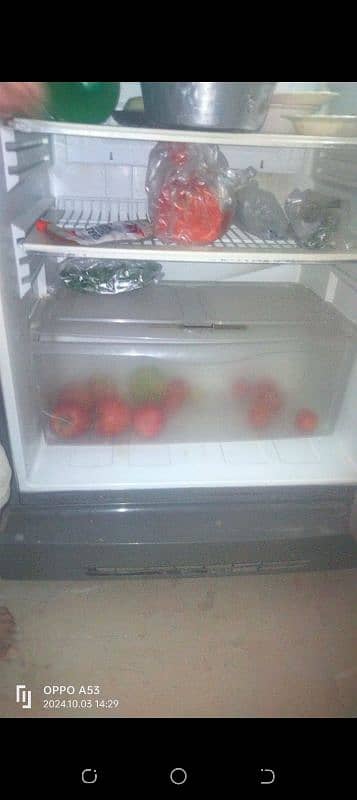 pel refrigerator 5