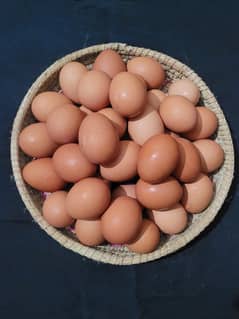 Desi eggs for sale in Lahore 100 percent organic