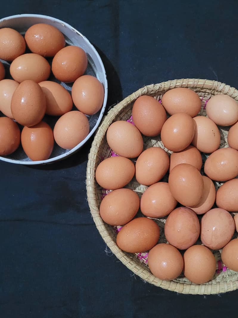 Desi eggs for sale in Lahore 100 percent organic 2