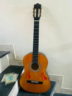 Acoustic Guitar