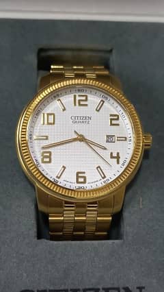 Citizen Gold Stainless Steel Watch