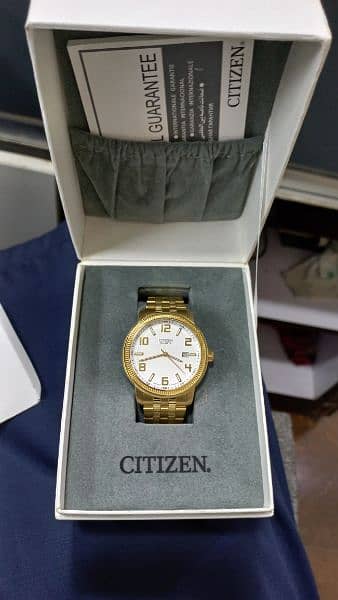 Citizen Gold Stainless Steel Watch 1