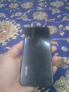 VIVO