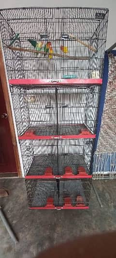 cage for sale 03198528172 0