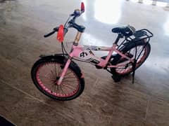 imported mountain bike for girls