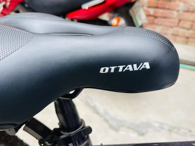 OTTAVA Canadian Branded 29" Cycle 2