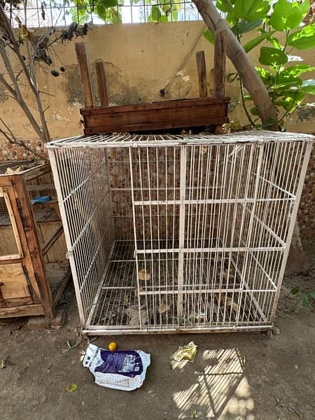 iron Cage for hens or also its beat for big animal like dogs, dog cage 1