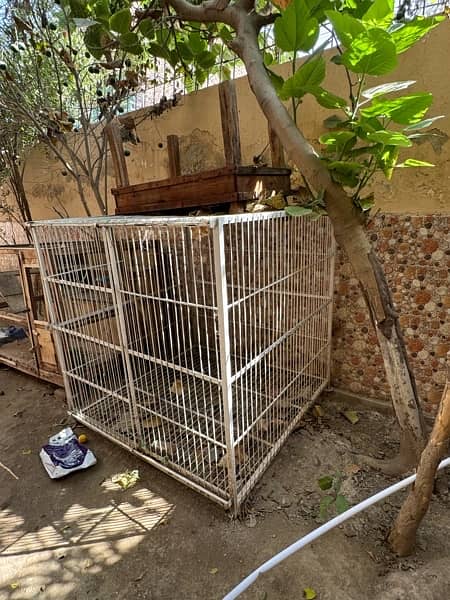 iron Cage for hens or also its beat for big animal like dogs, dog cage 2