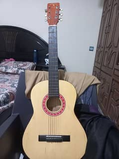 Indiana Colt imported guitar BEST QUALITY!!!