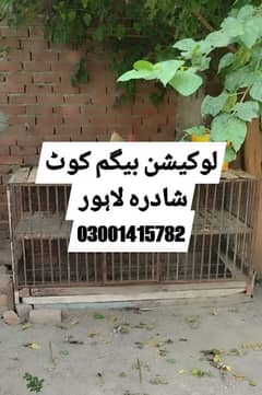 parrots , pigeons And Hens Cage For Sale