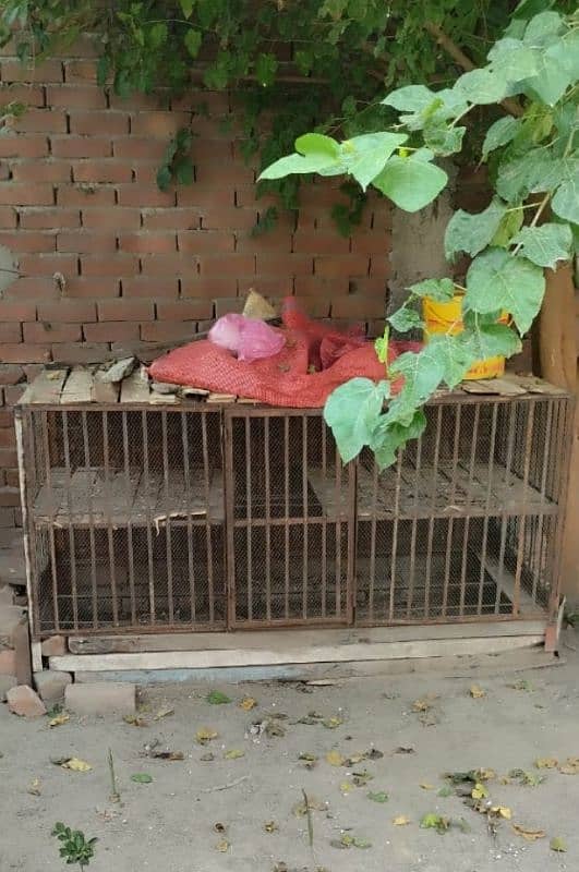 parrots , pigeons And Hens Cage For Sale 1