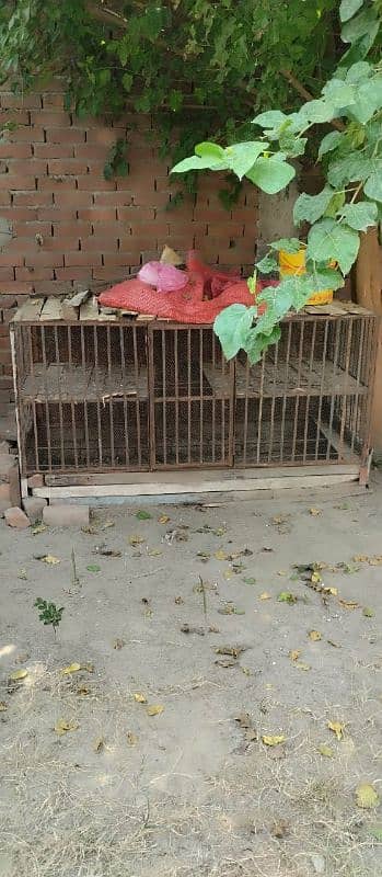 parrots , pigeons And Hens Cage For Sale 2