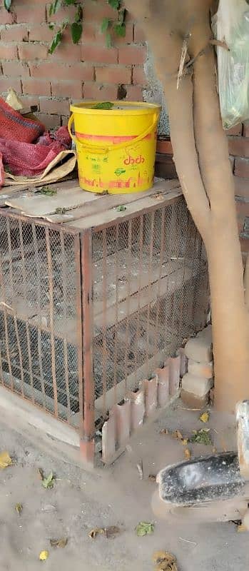 parrots , pigeons And Hens Cage For Sale 3