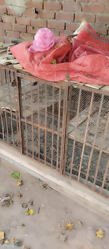 parrots , pigeons And Hens Cage For Sale 4