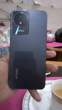 Vivo