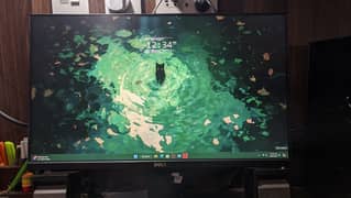 Dell 24 Inches FHD Borderless IPS Monitor