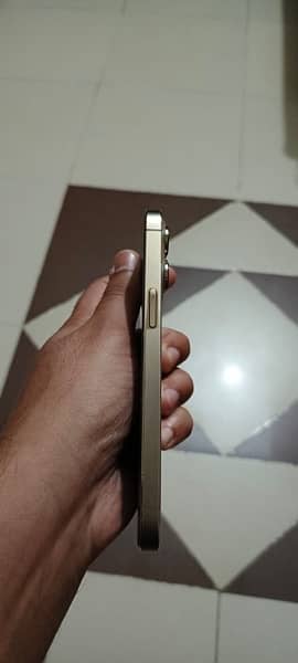 Iphone 13 pro PTA approved 2