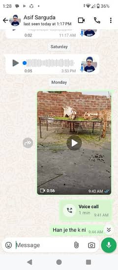 buht khob sort bakri makhi cheni