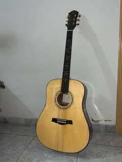 Acoustic guitar