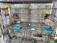 Double Portion Cage Parrot 0