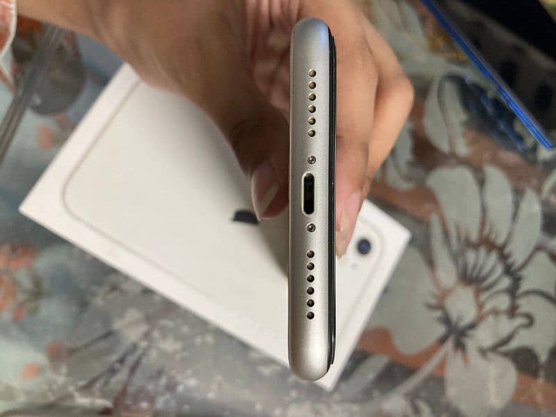 Iphone 11 no pta white 4